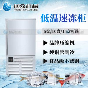 XZ-E10速凍柜